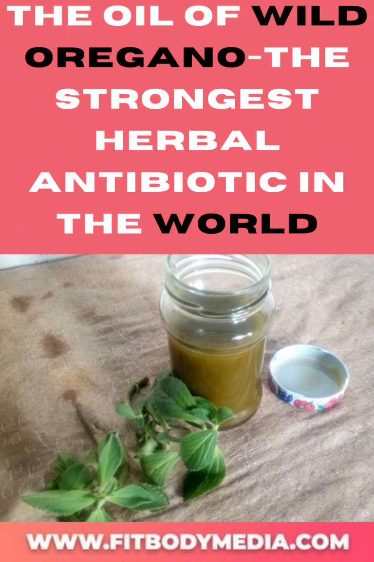 The Oil Of Wild OreganoThe Strongest Herbal Antibiotic In The World