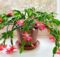 10 Things Every Christmas Cactus Owner Needs To Know