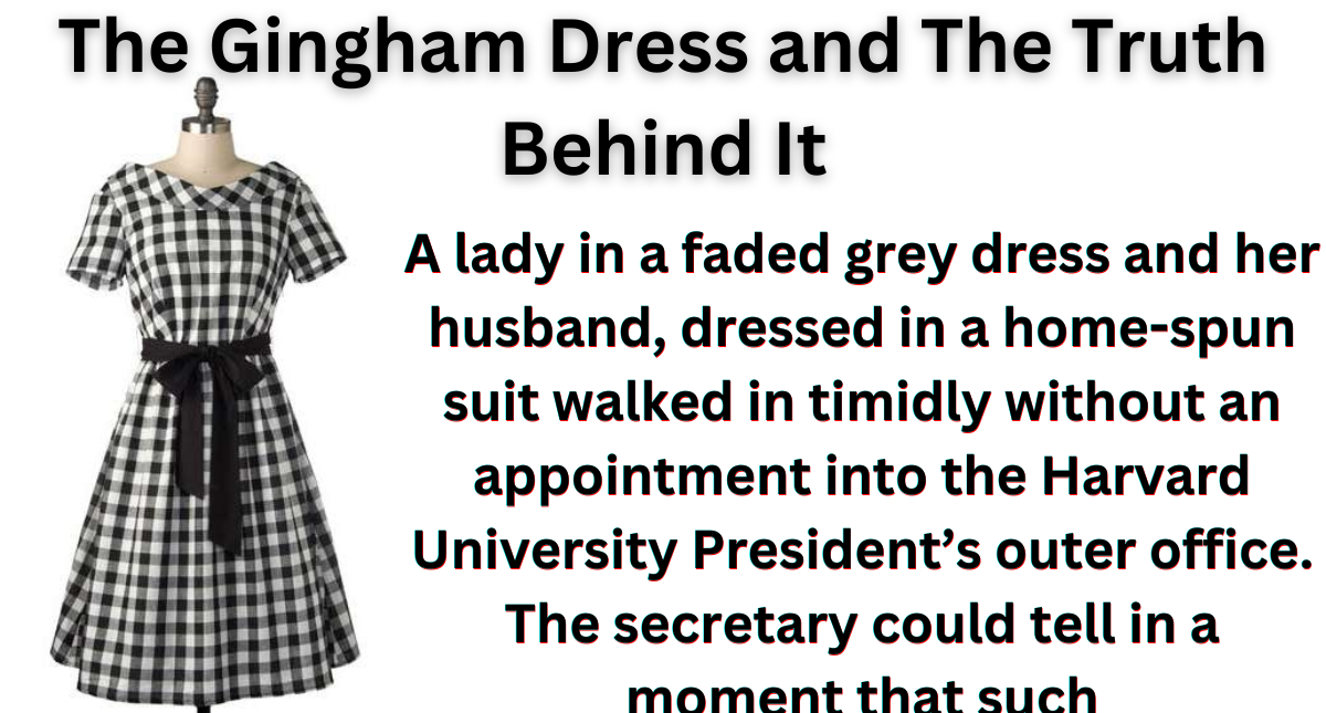 Gingham Loire Valley Dress