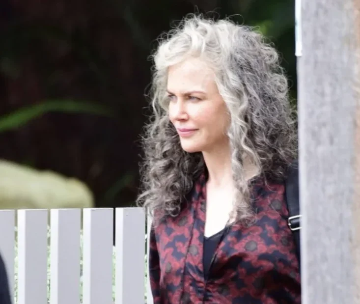 Nicole Kidman's Bold Move: Embracing Gray! The Actress Stuns with ...